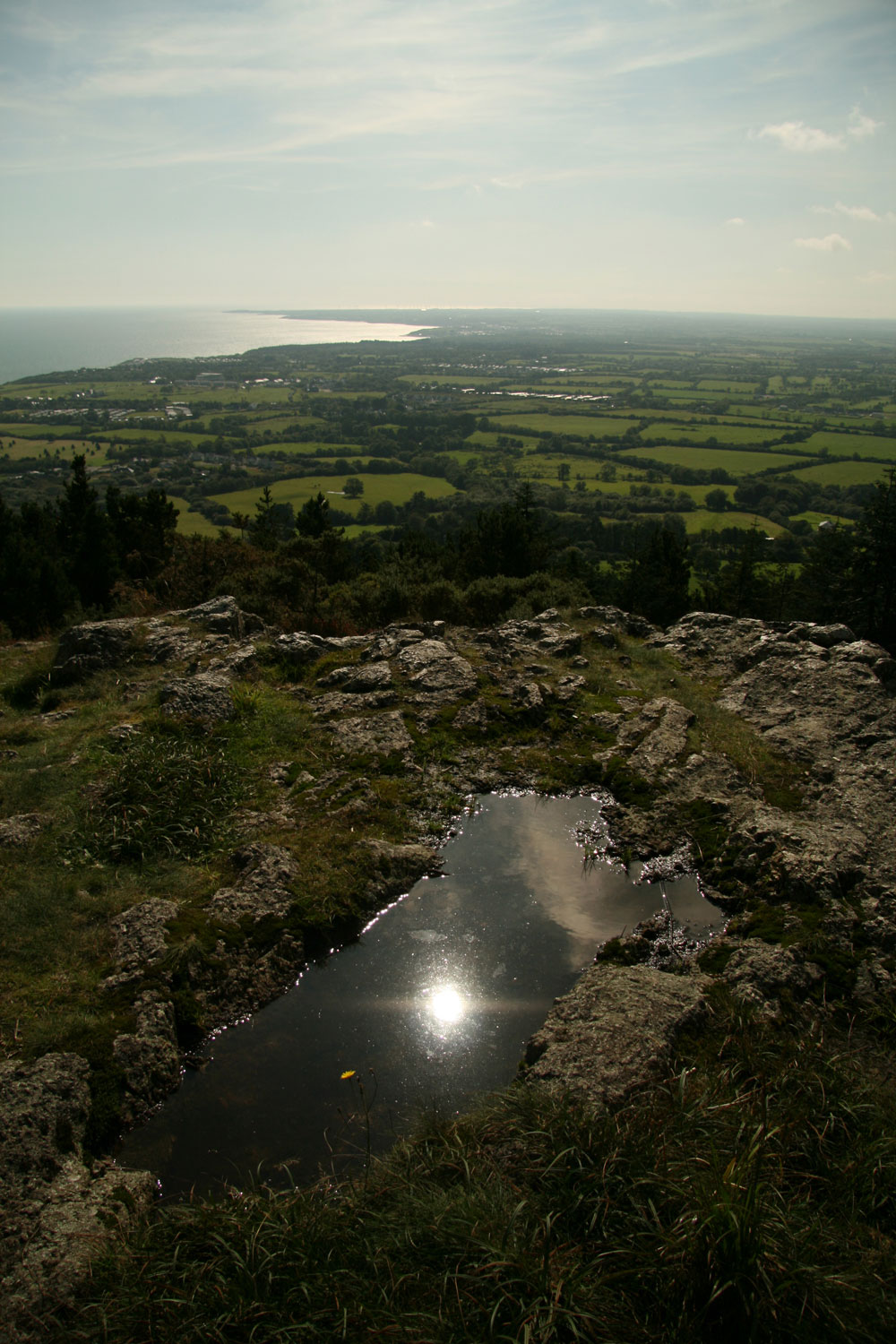 Mountaintop Puddle (I)